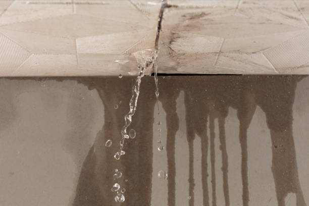 Professional Structural Drying technician working in Park Ridge, NJ